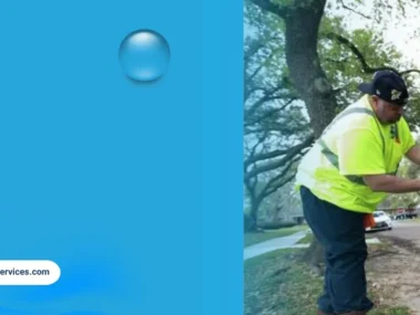 Garbage disposal waste removal and plumbing service in Houston